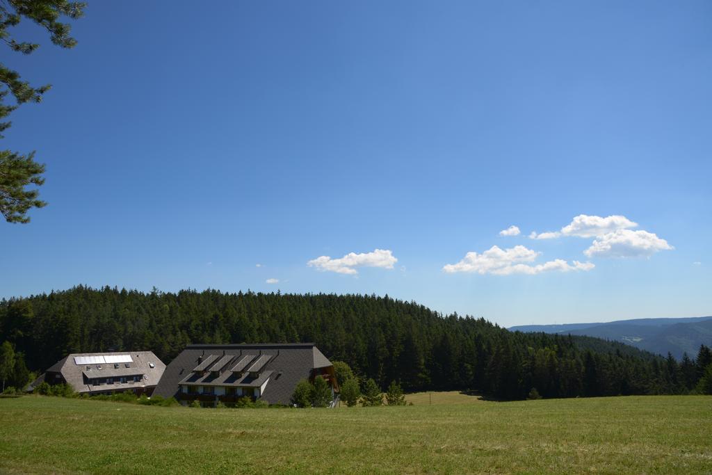 Hotel Schoene Aussicht Hornberg Exterior photo